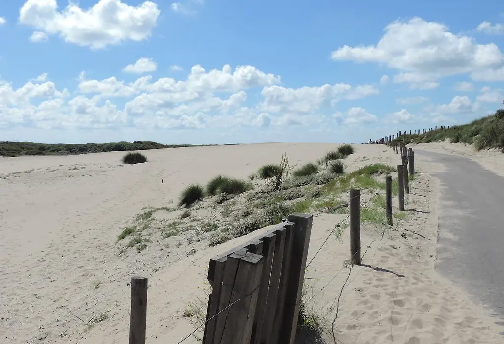Sea & Dunes-1