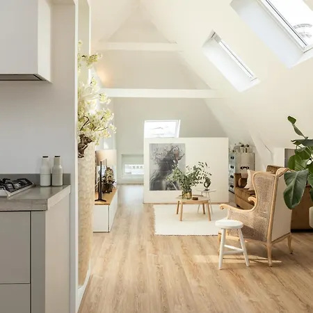 Huize Copes Apartment Den Haag, 2 Bed, 2 Bath-3