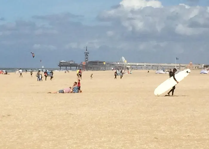 Sea & Dunes Den Haag
